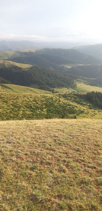 Туризм трансфер и.т.д