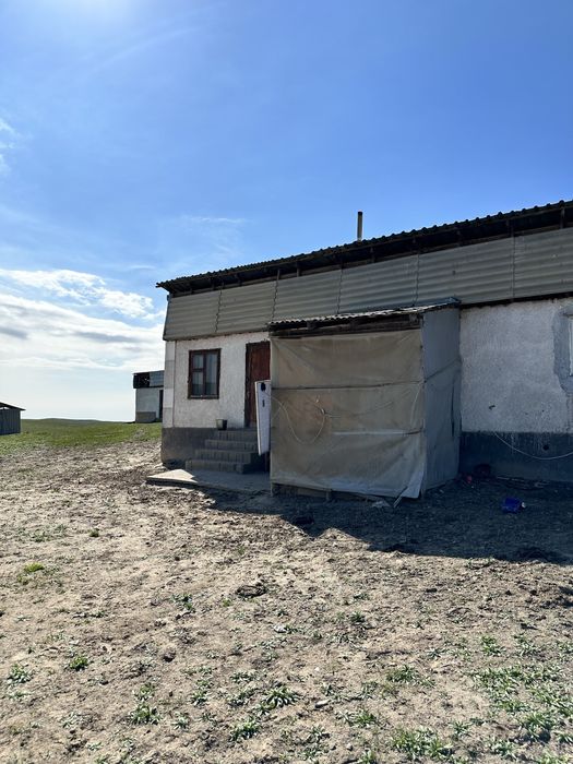 Фазенда, участок