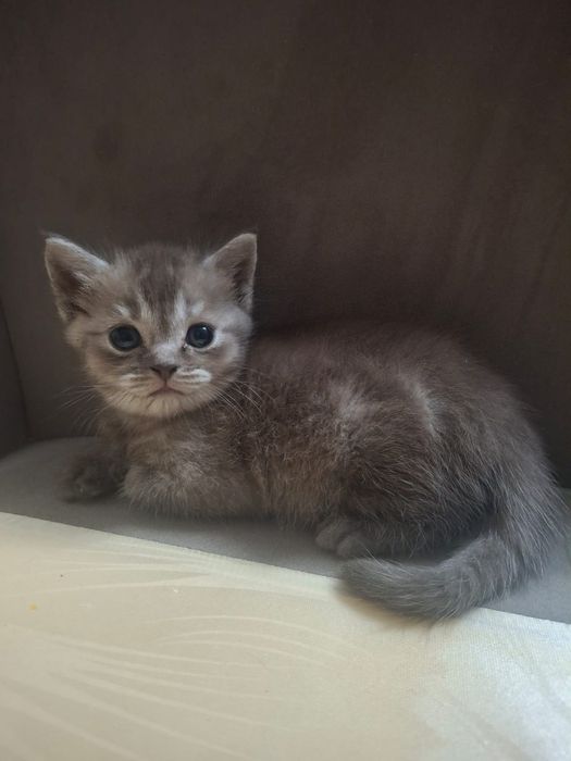 Милые страйтики и фолдики