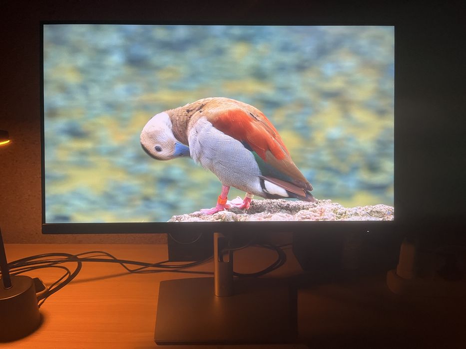 Dell P2423D 23.8" QHD (2560×1440)