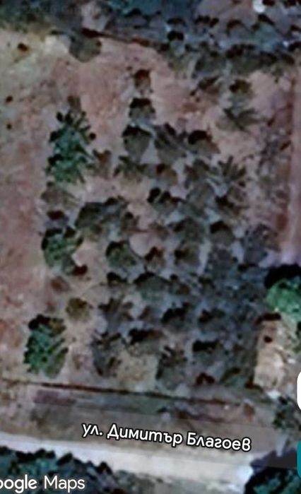 Дворно място в Бърдарски геран