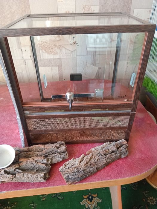 Террариум стеклянный.