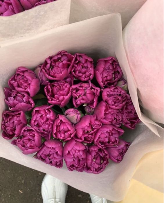 Тюльпаны к 8 марта