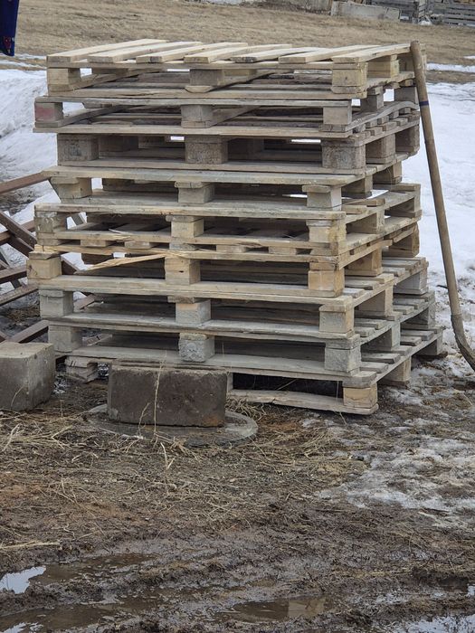 Продам поддоны 120/100