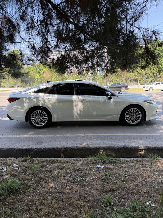 Toyota avalon 2019 yil