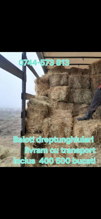 Baloti lucerna or fan.Rotunzi min.40.Dreptunghiulari.500.Transport inc