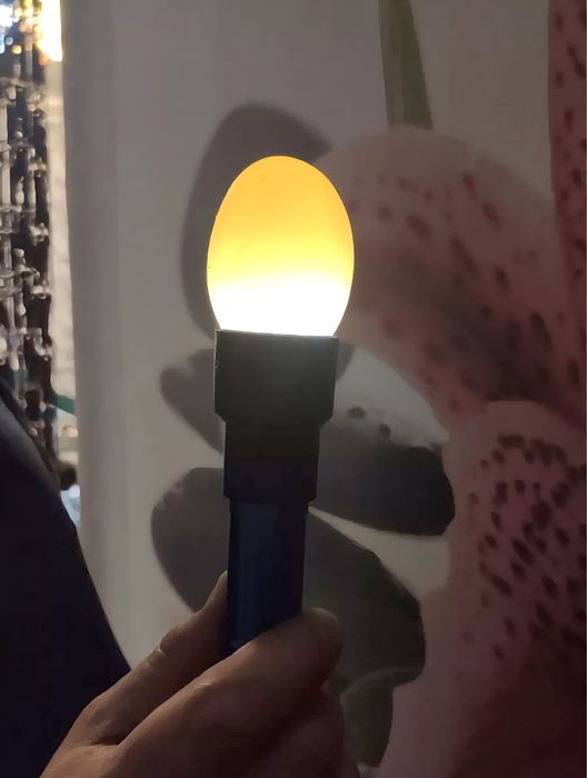 Ovoskop/ Овоскоп/тестер инкубационного яйцо/ инкубатор/ inkubatorga