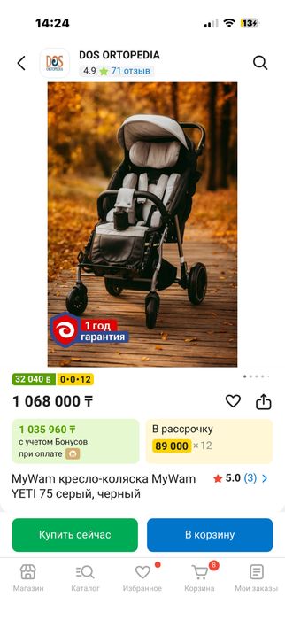 инвалидная коляска