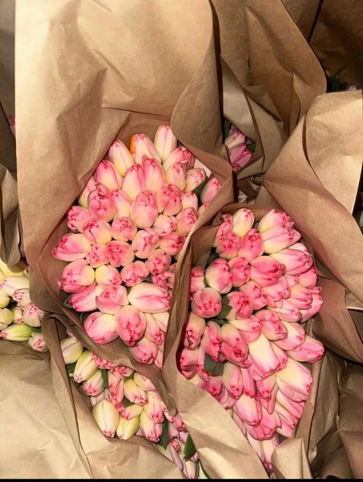 Тюльпаны на 8 марта