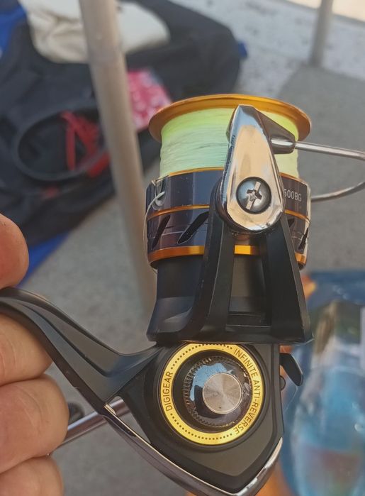 Mulineta Daiwa noua