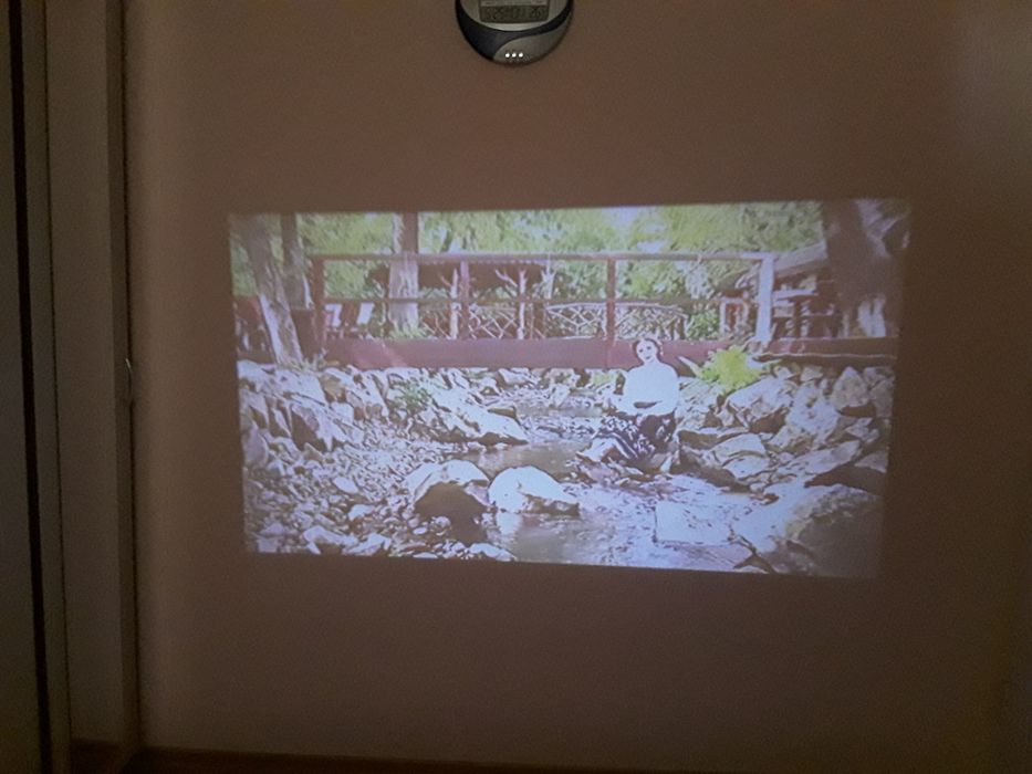 Videoproiector la 220 v