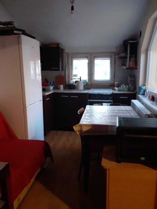 Informatician caut coleg de apartament