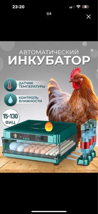 Inkubator 64 toʻrtalik