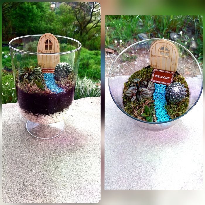 Мини екосистеми - естествени и изкуствени