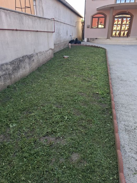 Tuns iarba / cosit grădini și curți – rapid și convenabil