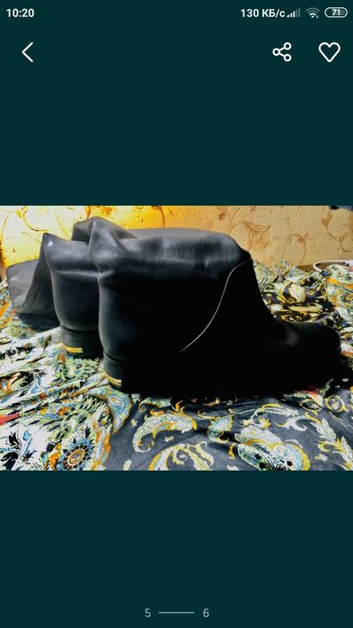 Высокие сапоги Basconi зима