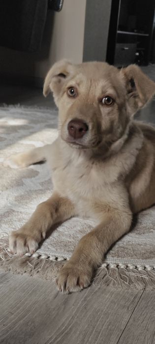 Кому нужен друг особенная девочка