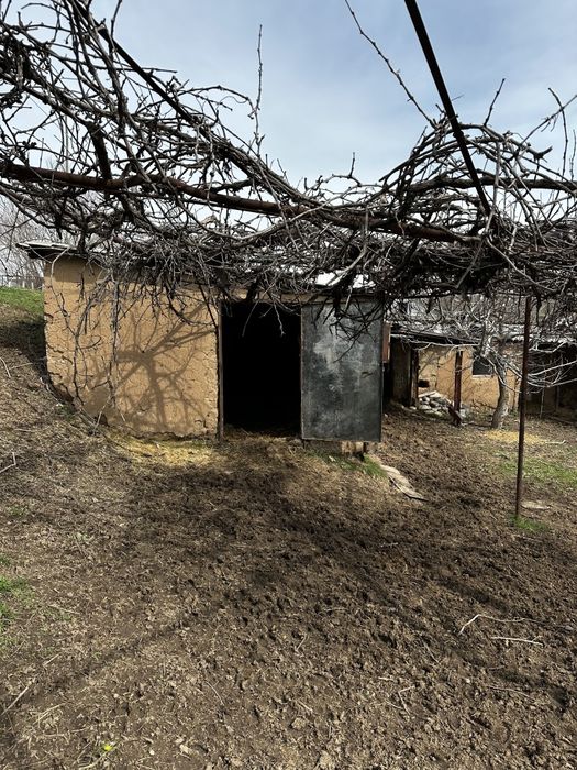 4 xona yashash uchun 4 xona tovuq juja va bol qoy boqsa buladigan joy