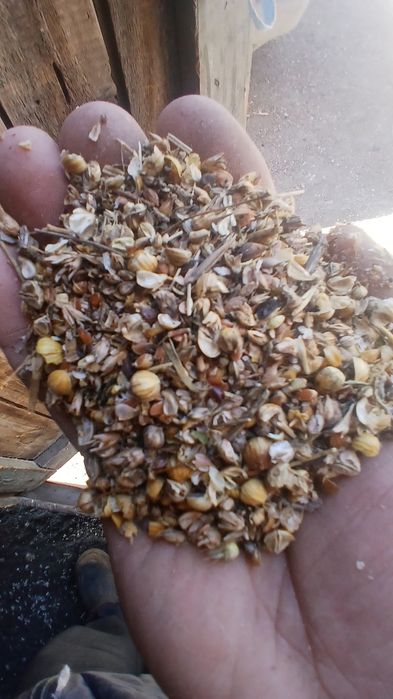 Бидайдың  және лень атходы сатылады