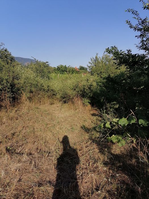 Косене  и Поддръжка на Тревни Площи