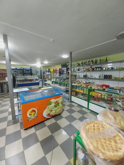 Андроид Капшагай