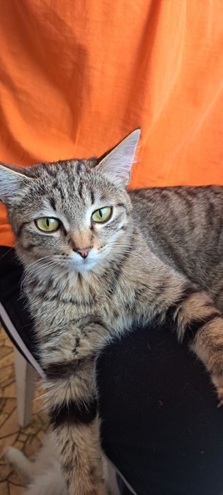 Мальчик 4мес ищет дом