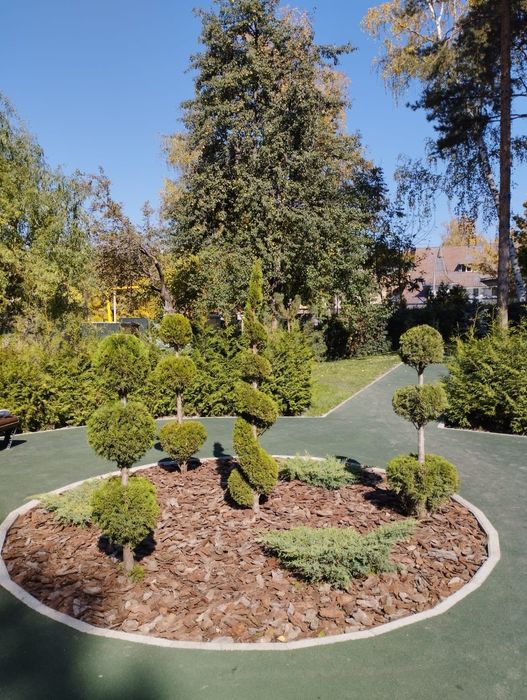 Озеленение. Проектирование.