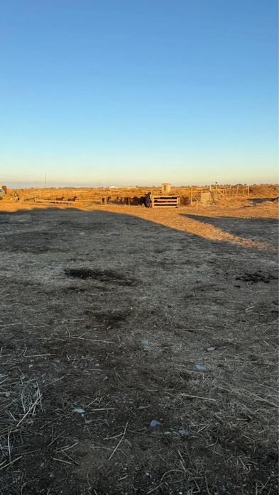 Қора арендаға беріледі