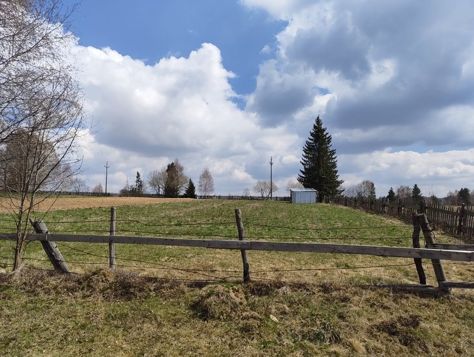 Teren plat 2.920 mp  Dealul Negru 5km de Beliș  vedere muntele Vlădeasa