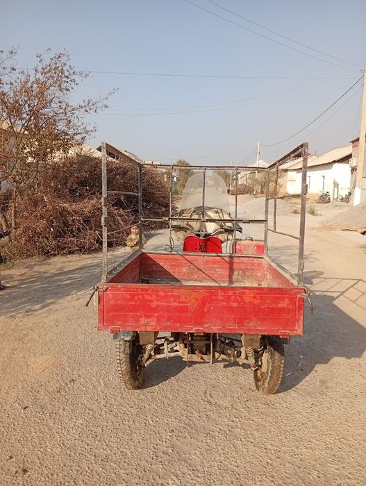 Муравей российский