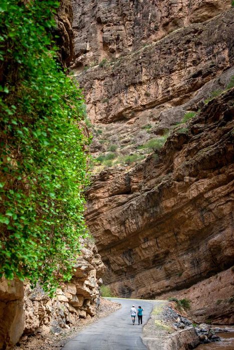 Nikon D800 карта 32ГБ, 2 аккум
+ карта 32ГБ, 2-е батарейки, зарядное.