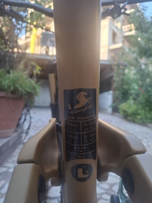 Transition Sentinel Carbon