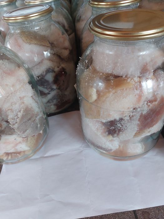 Сало свиное продам