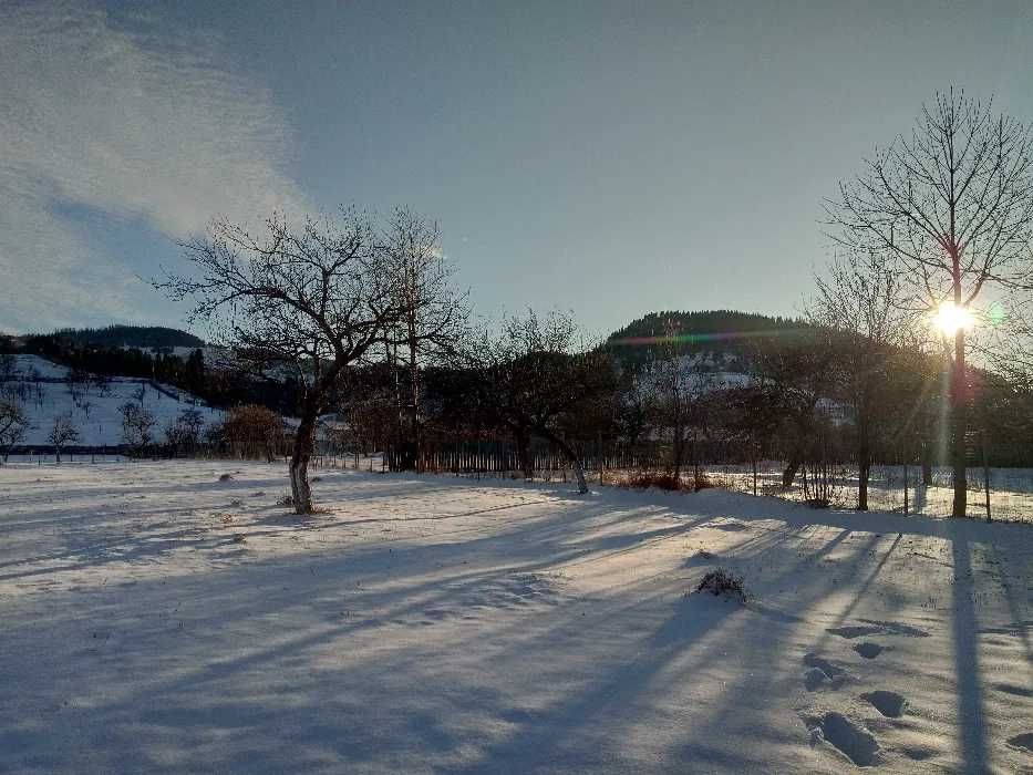 Teren intravilan la munte, in Nereju, Vrancea