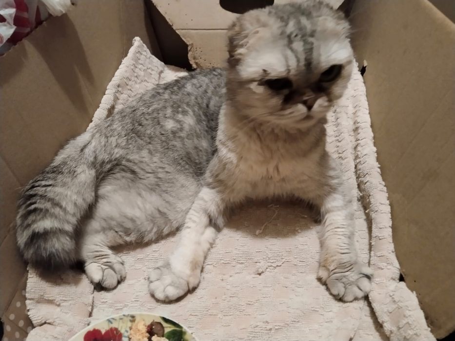 Девочка 7 месяцев