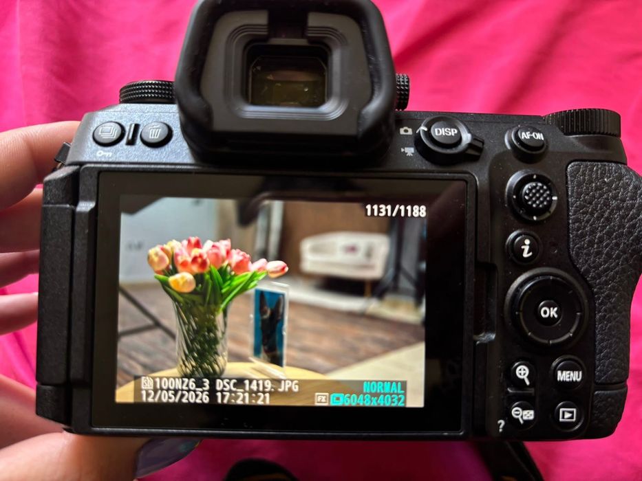 Nikon Z6 iii+ NIKKOR Z 50mm f/1.8S