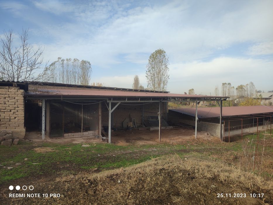 70 sotihli hovli va mini ferma.Havosi toza.Manzarali joylar.