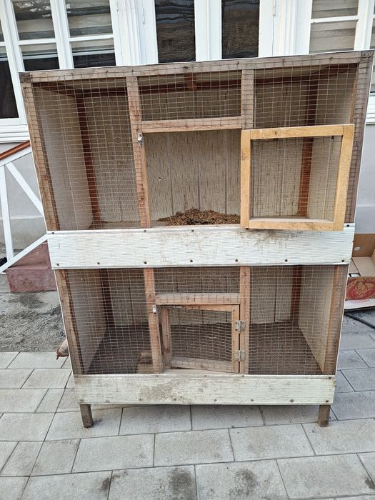 Товук катак сотилади