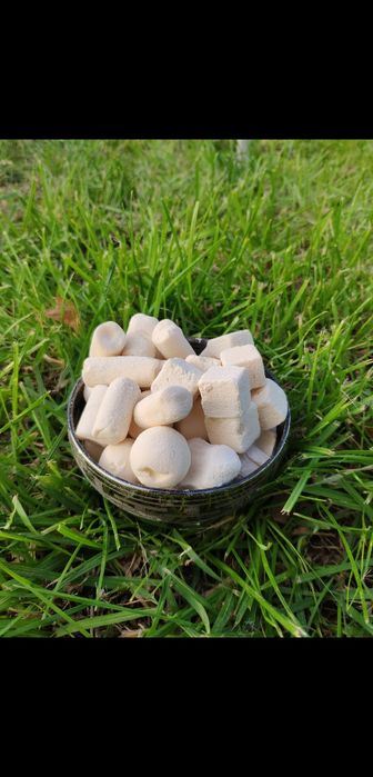 Курт оптом из Шымкента