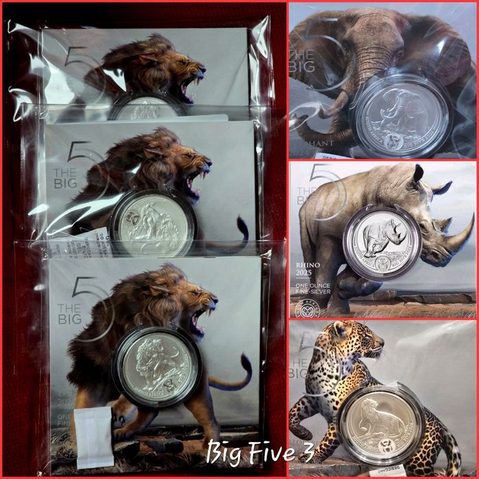 Africa de Sud Big 5 Five I, II si III monede lingou argint pur 999