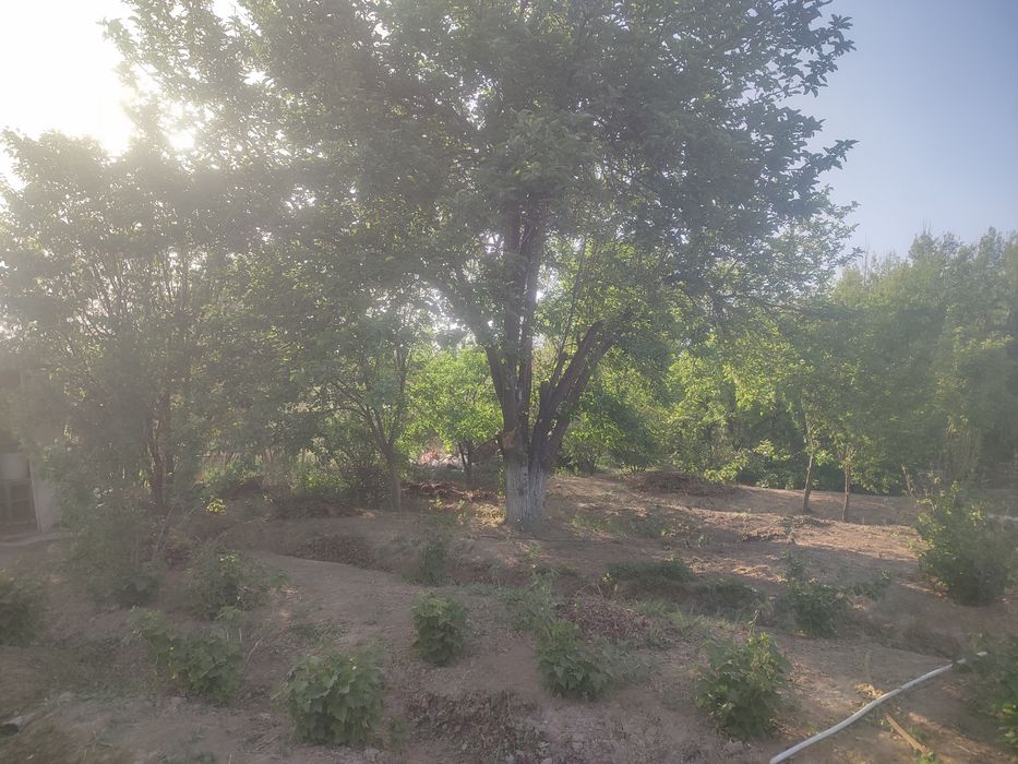 Дача сатылады арол