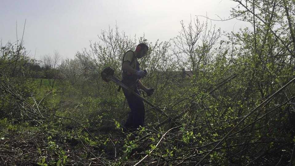 Почистване на дворове и запустели терени в София – бързо и изгодно