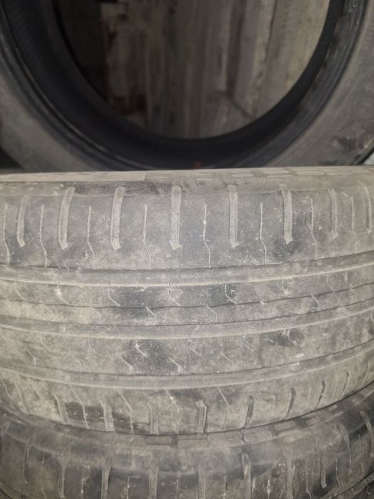 Шины  Continental R15