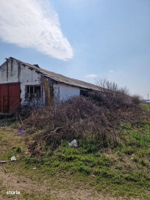 Ferma de vanzare 8 ha – Bals, judetul Olt