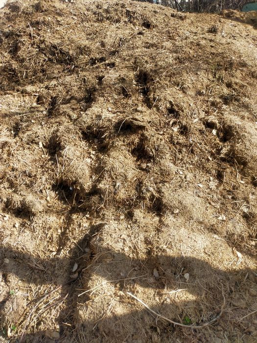 Навоз, Көң бар тегін