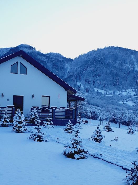 Casa de vânzare Bran Tohanita