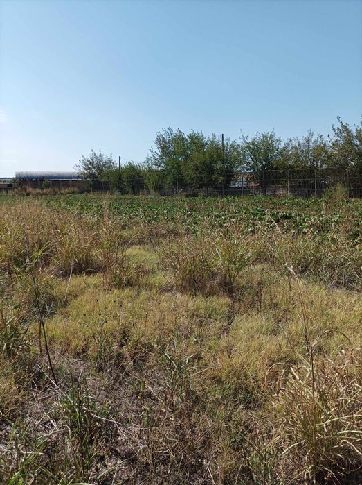 Продава се Земеделски имот в Димитровград -  кв.м за 6800 €/дка - Снимка #1