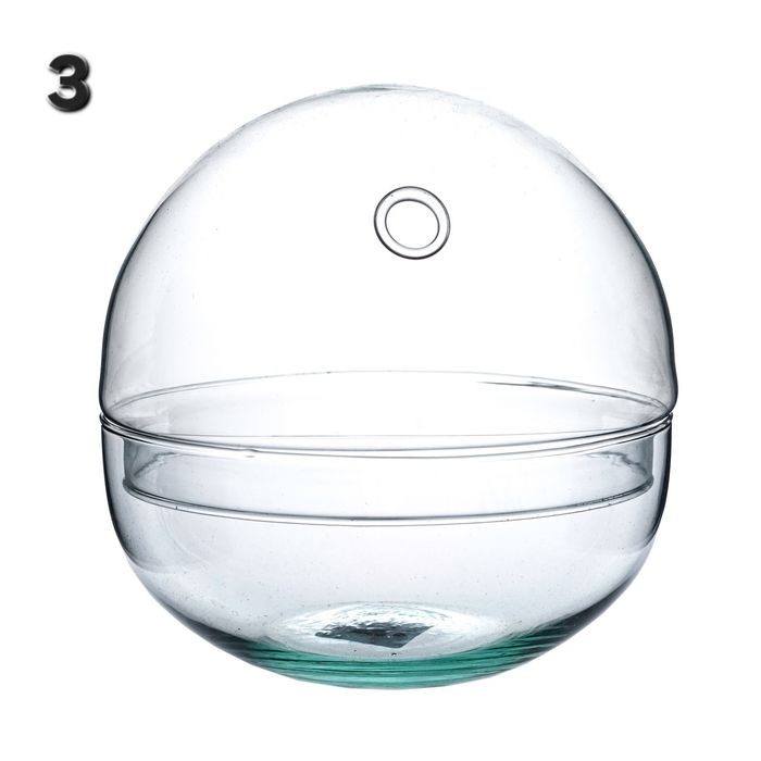 Стъклени терариуми за цветя