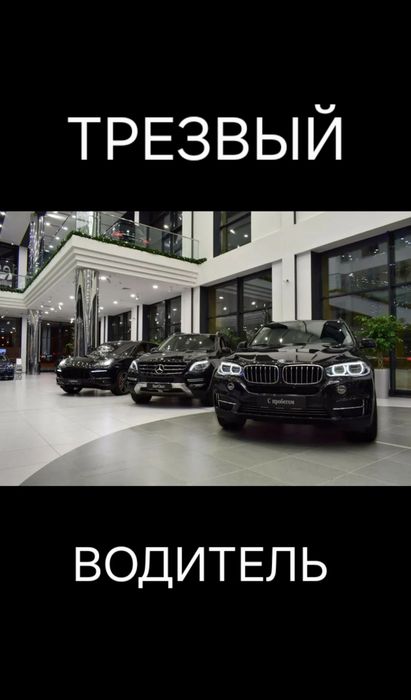 Трезвый водитель