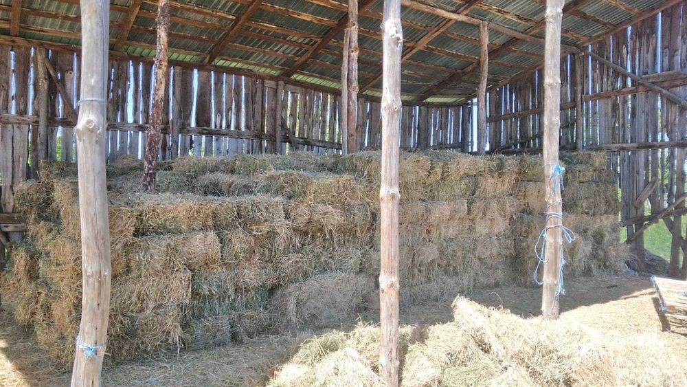 Baloti mici / dreptunghiulari de vanzare
